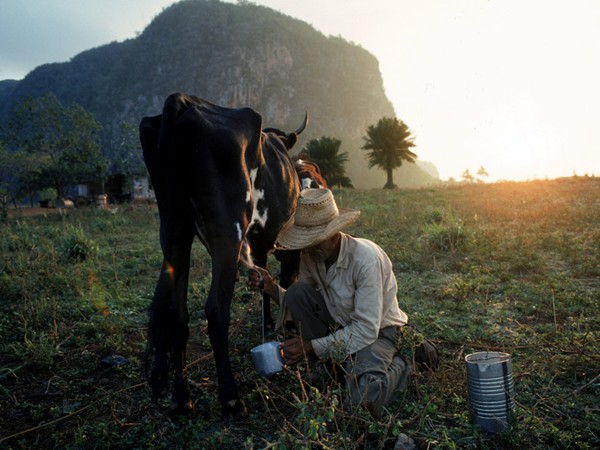 Фотографии: Cuba