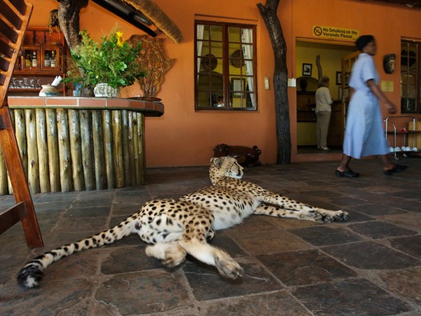 Фотографии: South Africa