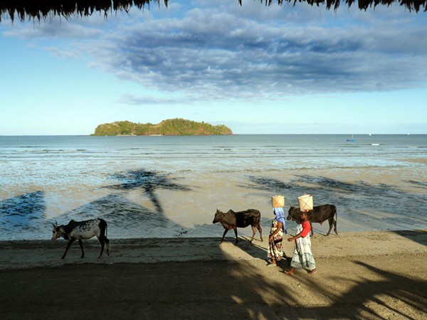 Фотографии: Madagascar